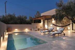 Skylight Olive Villa - Private Pool - Casa Kalitero